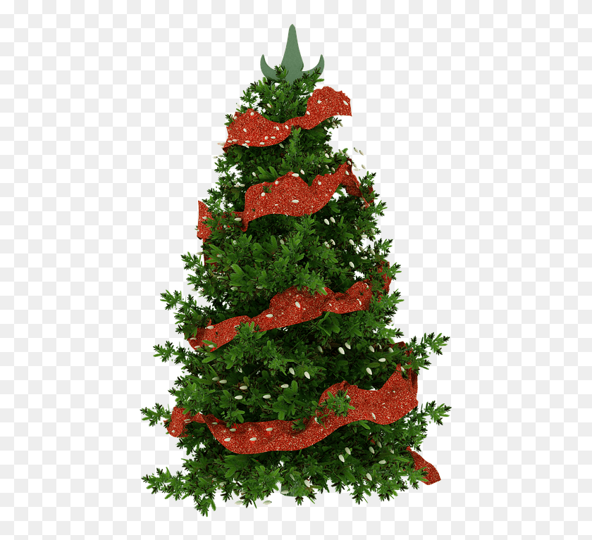 449x707 Descargar Png Rvore De Natal Planta Natal Rvore Natureza Árbol De Navidad Png / Árbol De Navidad Hd Png