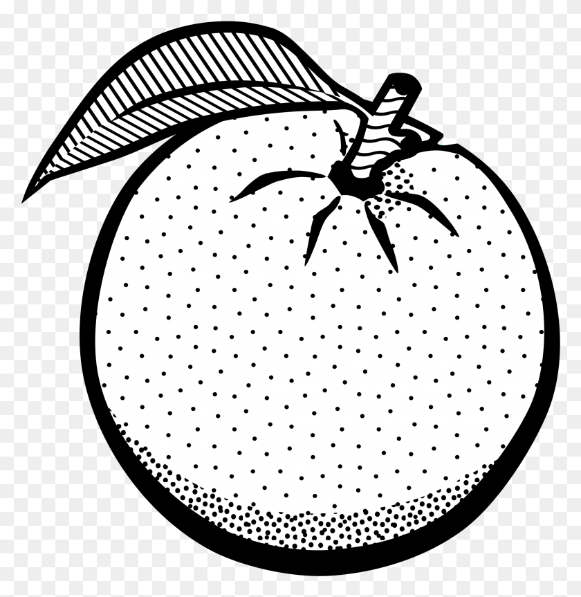 2184x2249 S Clipart 6 Of Clipart Orange Lineart Clipartingcom Orange Drawing Black And White, Plant, Fruit, Food HD PNG Download
