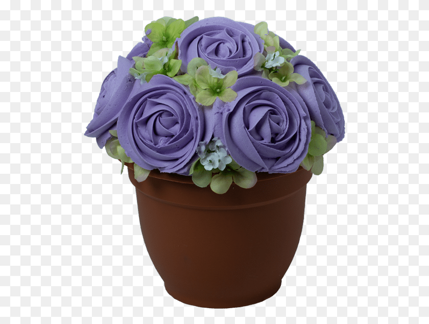 515x574 S Potted In Purple Blue Rose, Plant, Flower Bouquet, Flower Arrangement HD PNG Download