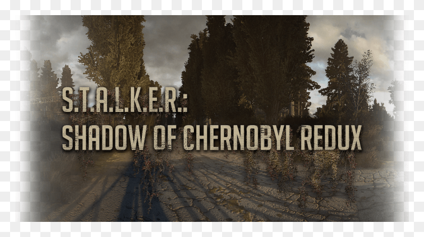 1280x673 Descargar Png Stalker Shadow Of Chernobyl Redux Stalker Soc Redux, Árbol, Planta, Pasarela Hd Png