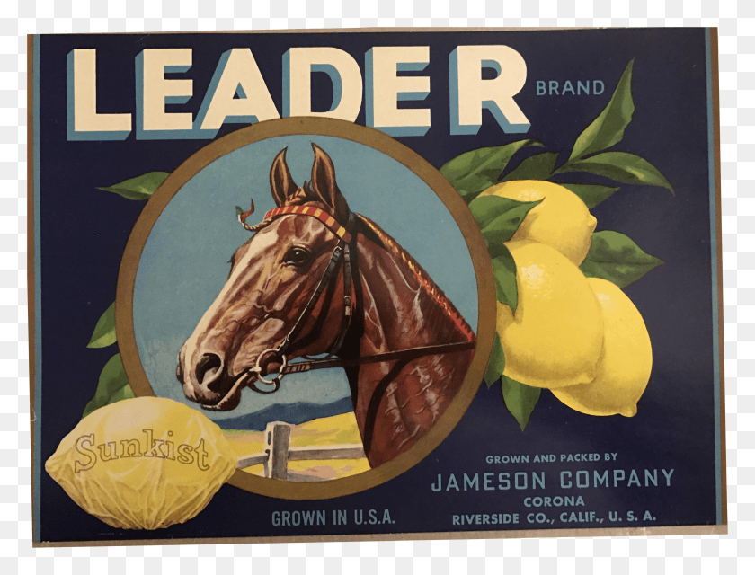 3835x2852 S Vintage Sunkist Lemons Horse Fruit Crate Lemon HD PNG Download