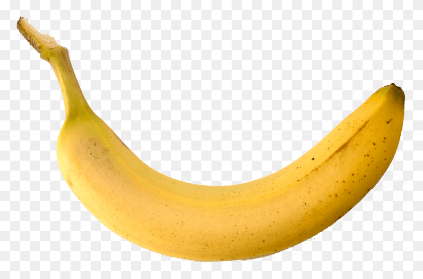 1805x1149 Saba Banana, Fruit, Plant, Food HD PNG Download