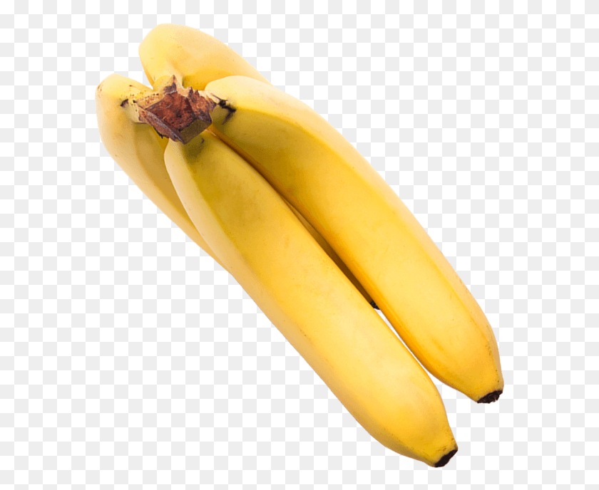 577x628 Saba Banana, Fruit, Plant, Food HD PNG Download