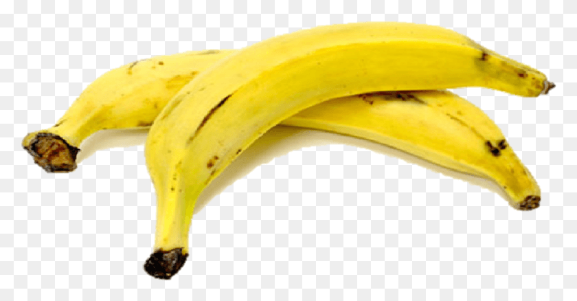 1398x679 Saba Banana, Fruit, Plant, Food HD PNG Download