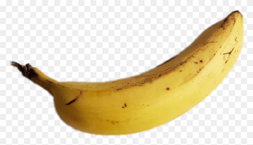 885x480 Saba Banana Saba Banana, Fruit, Plant, Food HD PNG Download