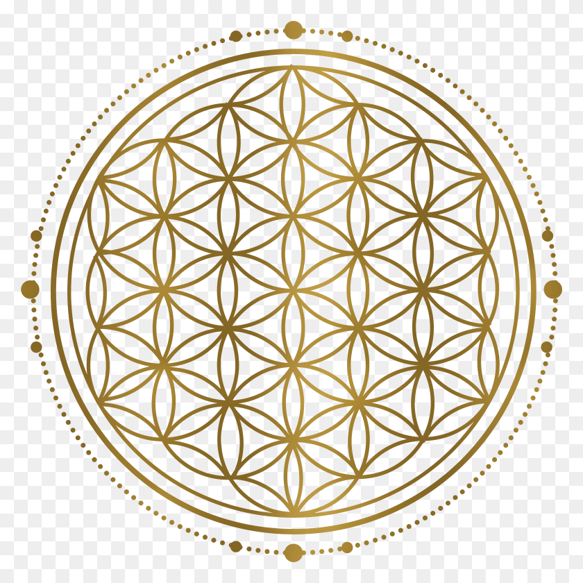 5563x5563 Sacred Geometry Perfect Flower Of Life, Ornament, Pattern, Sphere HD PNG Download