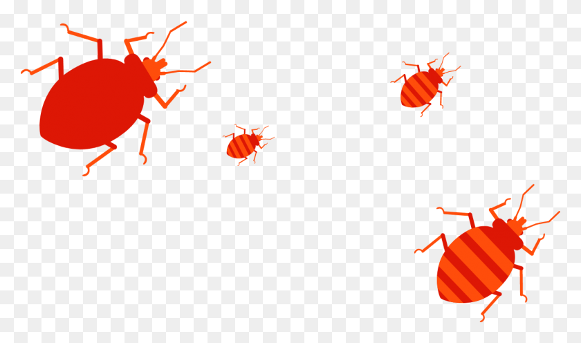 1264x707 Descargar Png / Escarabajo De Estiércol, Avispa, Abeja, Insecto Hd Png
