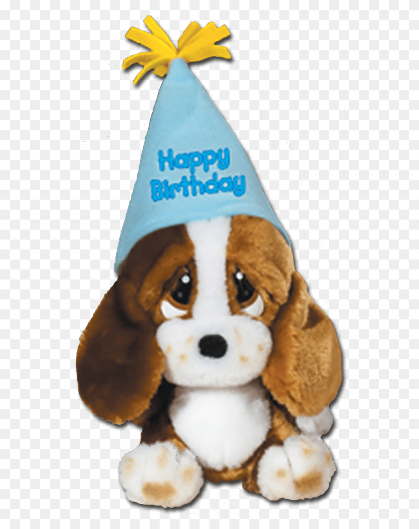 561x1000 Sad Sam And Honey Basset Hounds Are Dressed Up In Their Happy Birthday Sad, Clothing, Apparel, Party Hat HD PNG Download