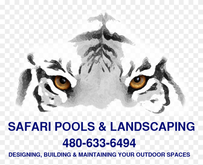 860x687 Safari Pools Amp Landscaping Tiger Eyes, Poster, Advertisement, Animal HD PNG Download