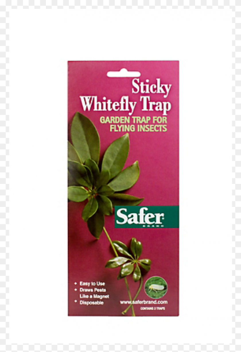 1071x1601 Safer Brand Sticky Whitefly Trap Herbal, Plant, Vase, Jar HD PNG Download