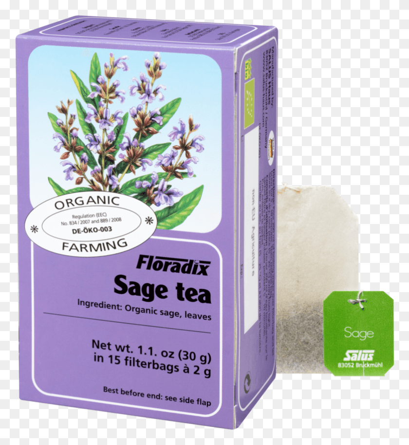 782x857 Sage Tea, Plant, Flower, Blossom HD PNG Download