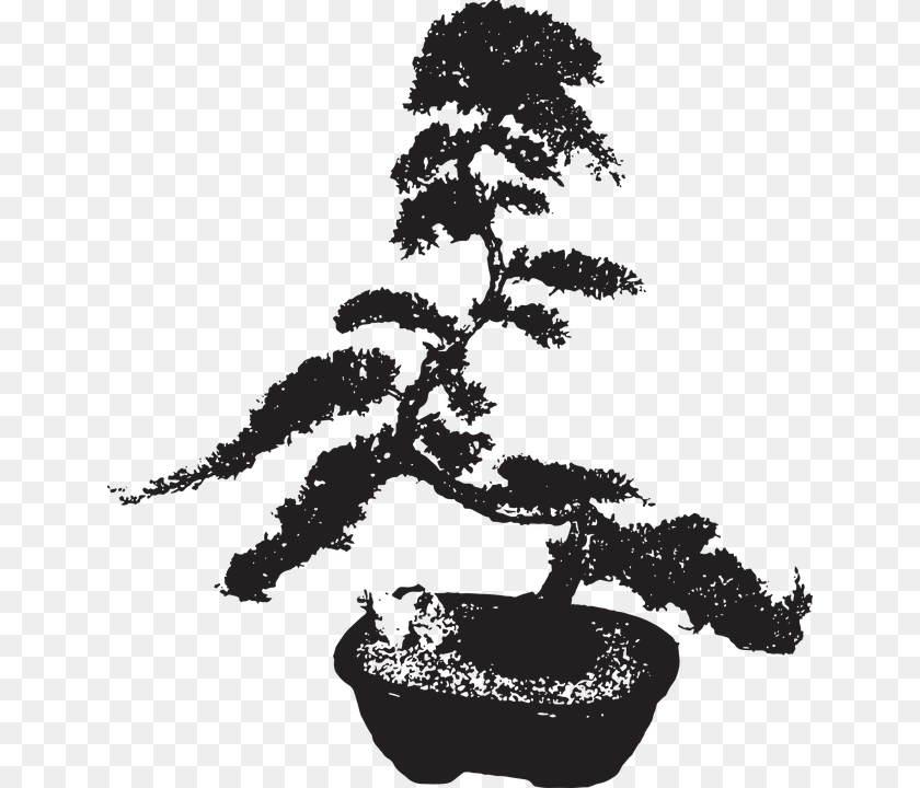 644x720 Sageretia Theezans, Plant, Potted Plant, Tree, Person PNG