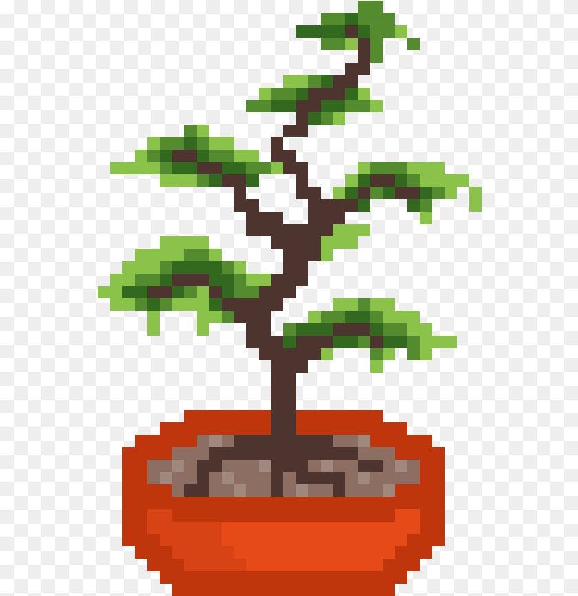 Sageretia Theezans, Conifer, Plant, Potted Plant, Tree Transparent PNG