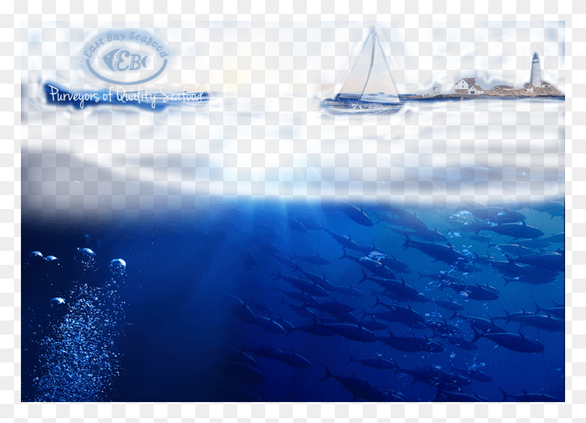 997x700 Sail, Outdoors, Nature, Water HD PNG Download