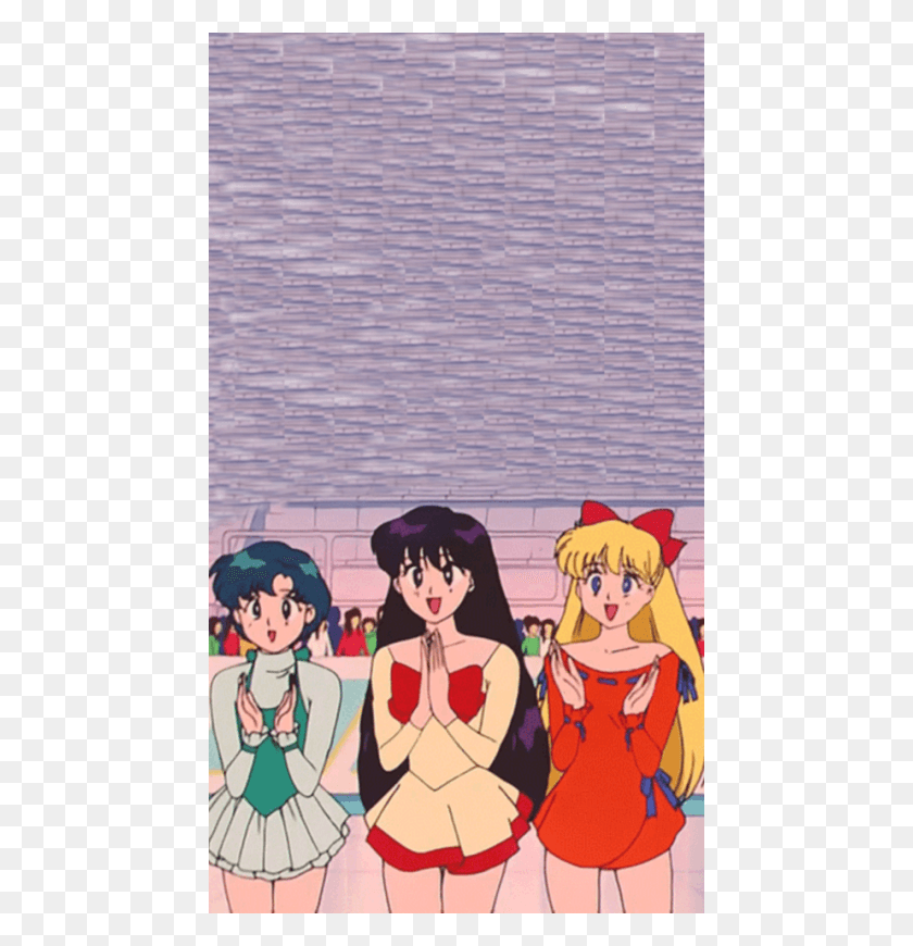 456x810 Sailor Moonlockscreenssailor Moon Moon Fanartsailor Se A Gente Bater Palma Ela Sossega, Comics, Book, Person HD PNG Download