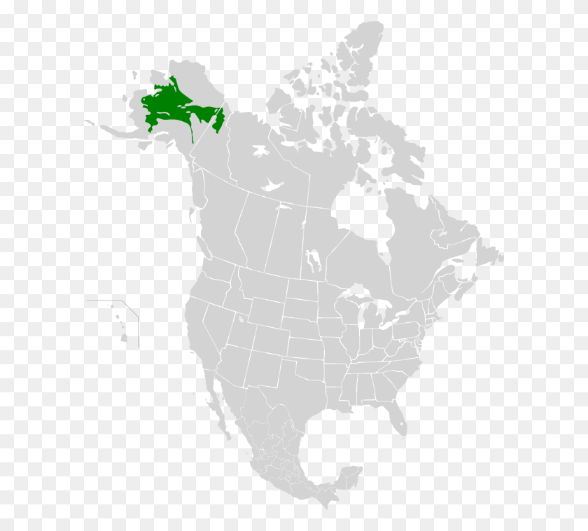 600x698 Saint Elias Mountains Map, Stencil, Bird, Animal HD PNG Download