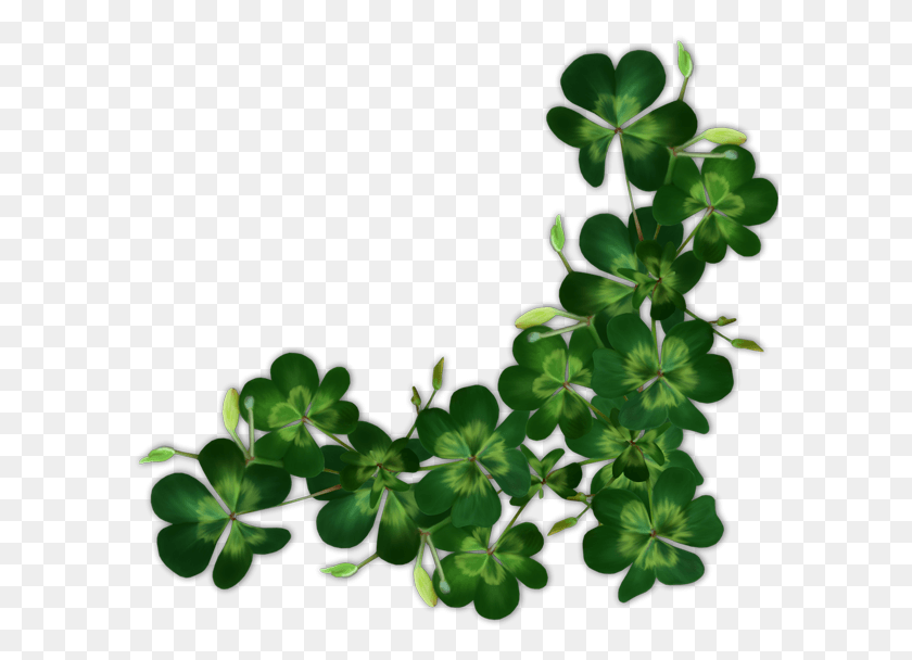 595x548 Saint Patrick St Patrick Day Steampunk, Leaf, Plant, Geranium HD PNG Download