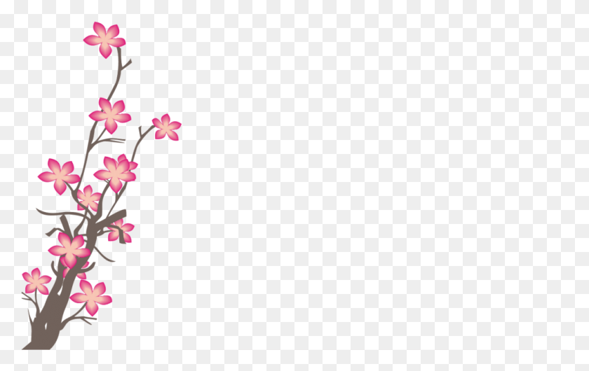 1025x618 Сакура Розовые Цветы Фото Креп Мирт, Растение, Цветок, Цветение Hd Png Скачать
