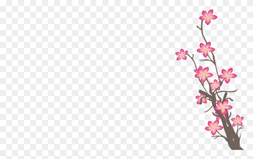 1025x618 Sakura Sakura Flowers Background, Plant, Flower, Blossom HD PNG Download