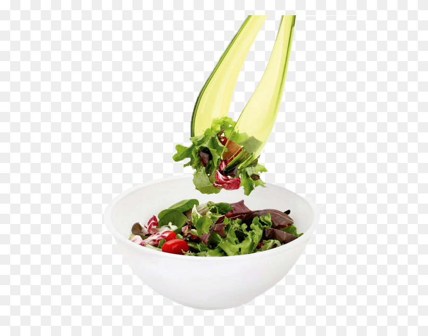 600x600 Salad Photo Spinach Salad, Plant, Flower, Blossom HD PNG Download