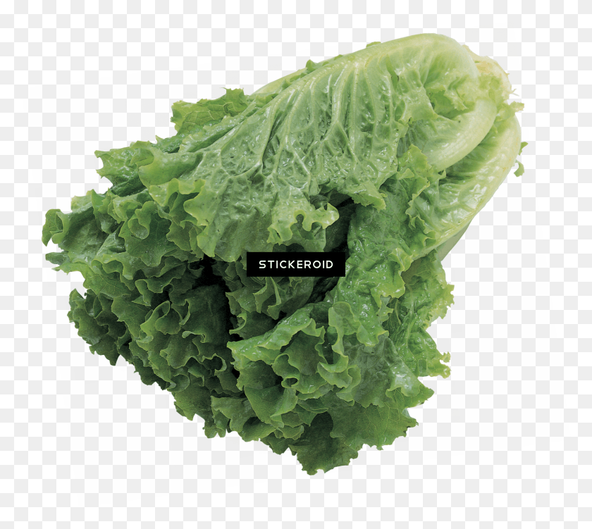 2004x1777 Salad Transparent Lettuce Leaf, Plant, Vegetable, Food HD PNG Download