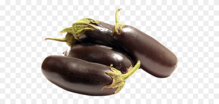 527x340 Sale Brinjal Long 1 Kg Eggplant, Plant, Vegetable, Food HD PNG Download