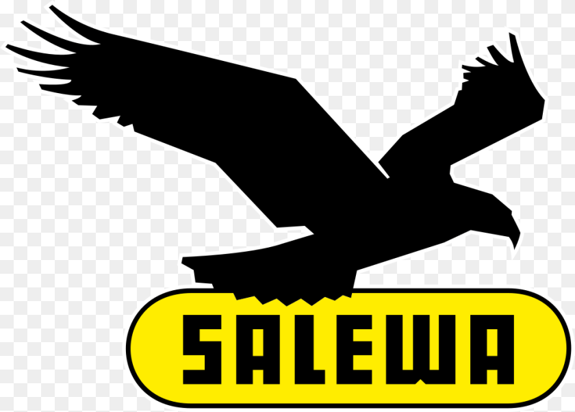 1000x717 Salewa Logo Salewa Logo, Animal, Bird, Kite Bird, Eagle Clipart PNG