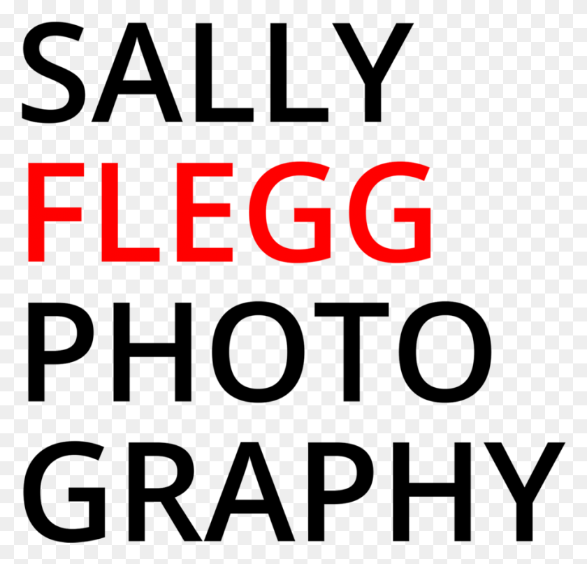 909x871 Sally Flegg Photography Circle, Digital Clock, Clock, Text HD PNG Download