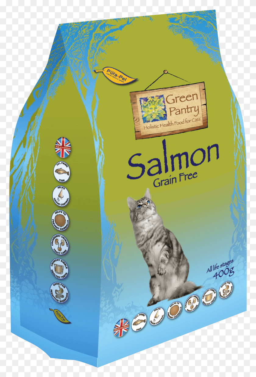 1234x1861 Salmon Grain Free Dry Cat Cat Grabs Treat, Pet, Mammal, Animal HD PNG Download