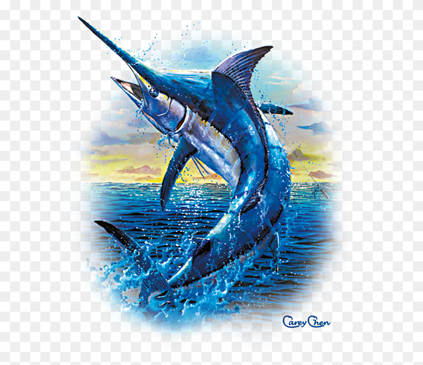 566x666 Saltwater Blue Marlin Jumping Grander, Swordfish, Sea Life, Fish HD PNG Download