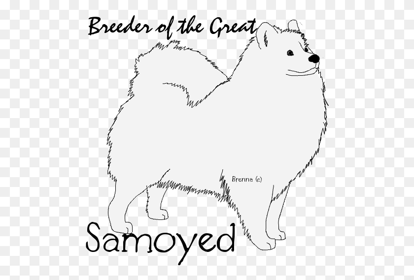 494x509 Samoyed Bags, Animal, Mammal, Pet HD PNG Download