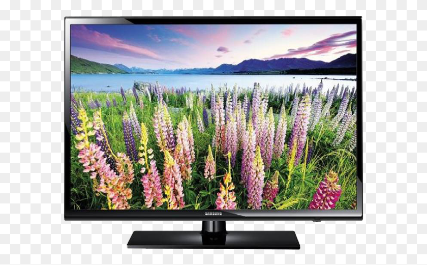 591x461 Samsung 32 Led Tv Светодиодный Телевизор 32 Дюйма Цена, Монитор, Экран, Электроника Png Скачать