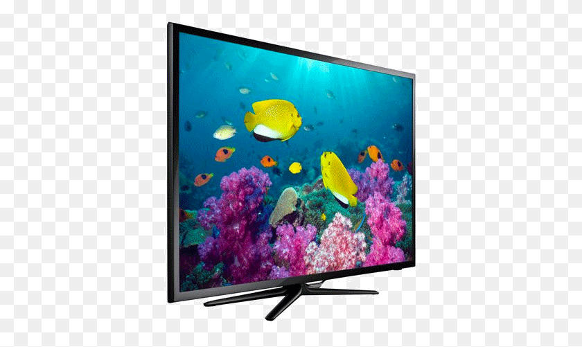 369x441 Samsung Ua40f5000ar Price, Fish, Animal, Monitor HD PNG Download