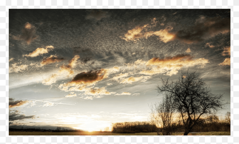 1001x572 Samsung Wave, Nature, Outdoors, Sunlight HD PNG Download