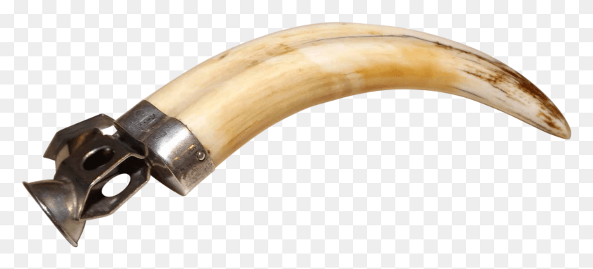 1662x687 San Diego Art Gallery Busted For Ivory Trafficking Tusks With Transparent Background, Hammer, Tool, Axe HD PNG Download