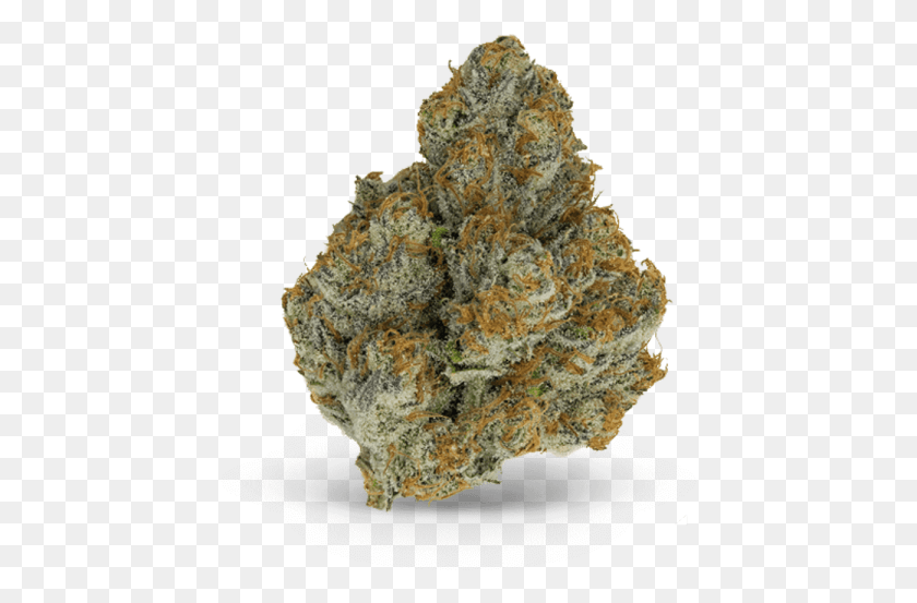 437x493 San Diego Cannabis Nug Kush, Rock, Mineral, Piña Hd Png