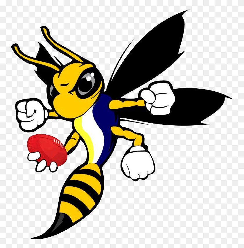 768x793 San Jos Hornets Tec Voc Hornets, Wasp, Bee, Insect HD PNG Download
