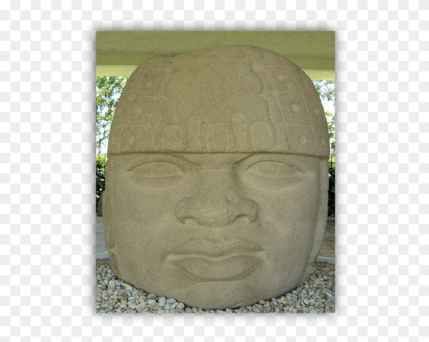 526x611 San Lorenzo Olmec Head San Lorenzo Tenochtitlan, Archaeology, Home Decor HD PNG Download