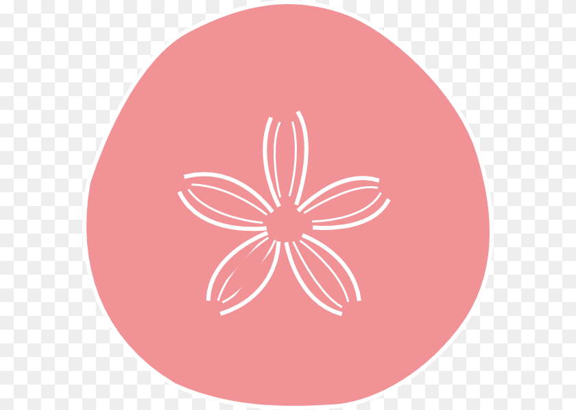 Sand Dollar Seashell Clip Art Circle, Easter Egg, Egg, Food, Flower Transparent PNG