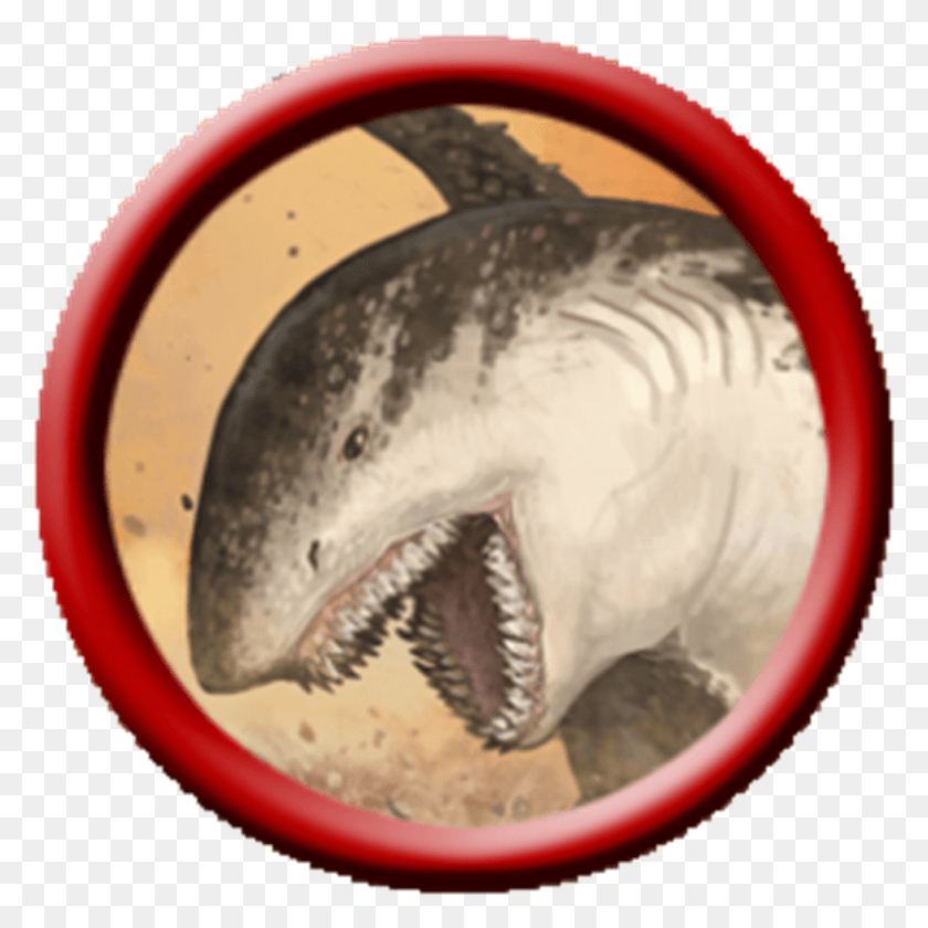982x982 Descargar Png Tiburón De Arena Monstruos Homebrew Más Allá De Avatar Tiburón Silt, Vida Marina, Pez, Animal Hd Png