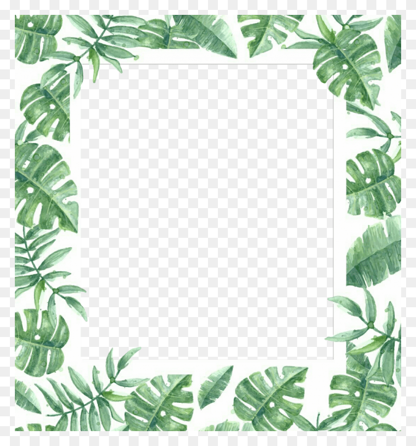 1024x1103 Sandalia Clipart Tropical Transparente Marco Tropical, Verde, Planta, Vegetación Hd Png