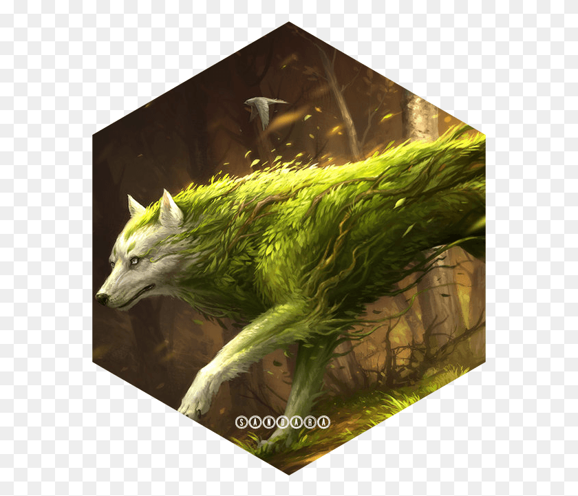 573x661 Sandara Grace The Wolf Goddess Of Herbs Forest Wolf Spirit, Chicken, Poultry, Fowl HD PNG Download