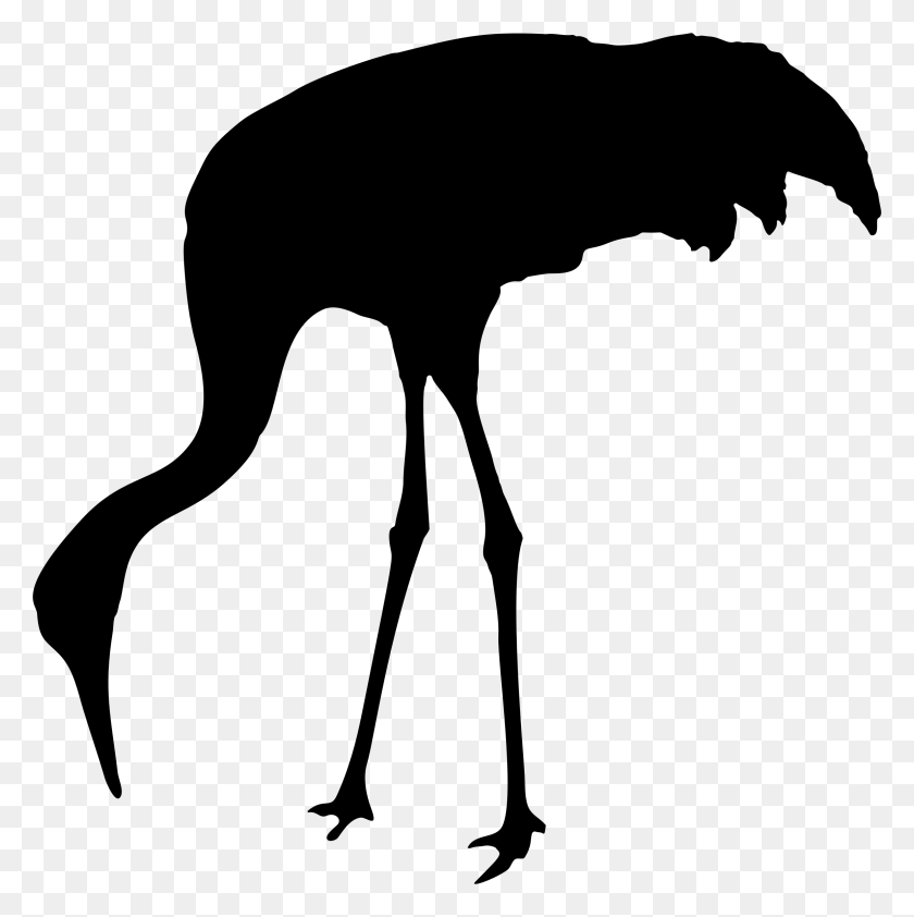 2309x2317 Sandhill Crane Free On Dumielauxepices Net Whooping Crane Clip Art, Gray, World Of Warcraft HD PNG Download