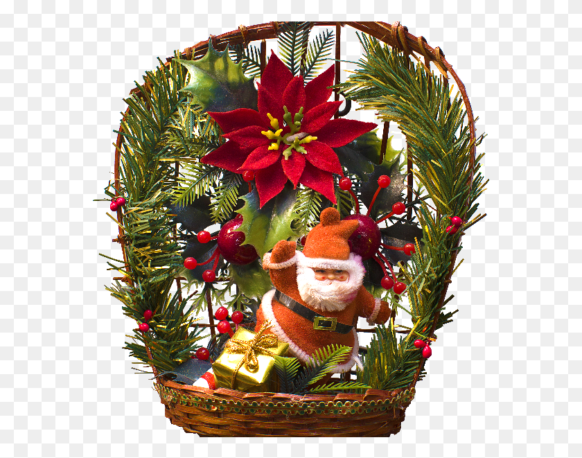 575x601 Санта-Клаус Рождественский Орнамент Пуансеттия, Растение, Цветочная Композиция, Цветок Png Скачать