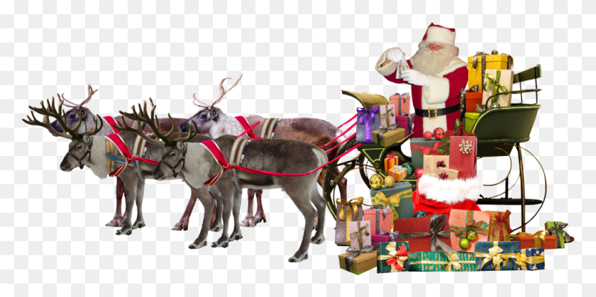999x461 Santa Claus Sleigh Deer Gifts Santa Claus Sleigh Transparent, Animal, Mammal, Cow HD PNG Download