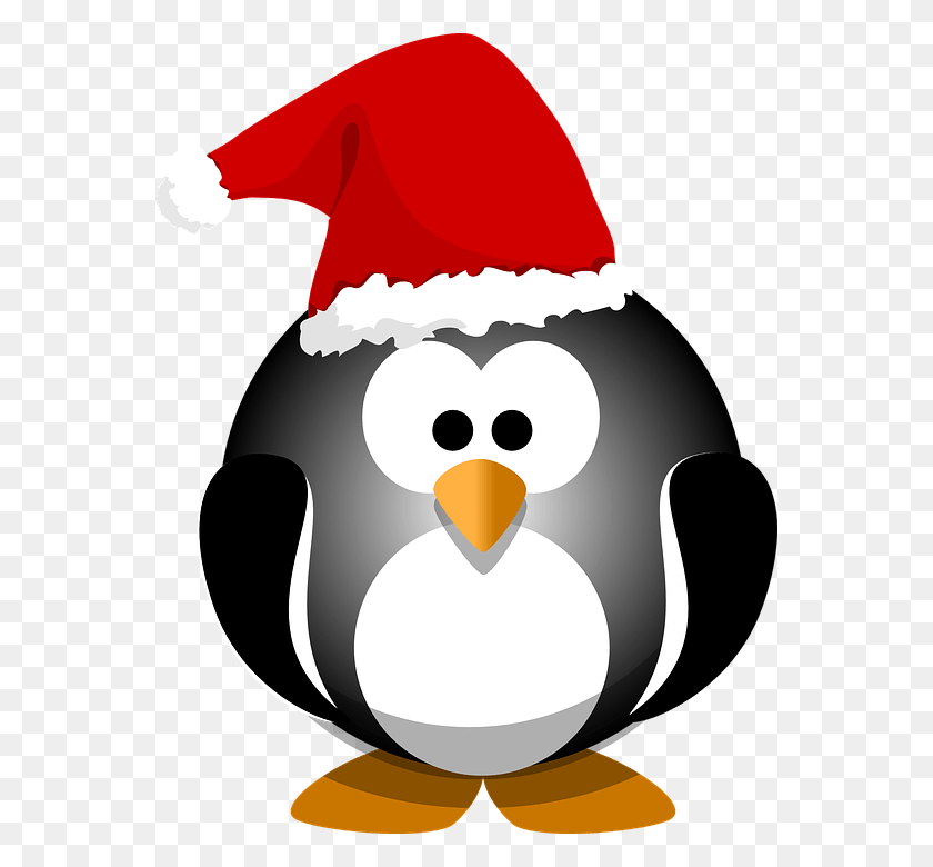 560x720 Санта Шляпа Клипарт Праздничная Шляпа Мультяшный Пингвин В Шляпе Санта Клауса, Птица, Животное, Снеговик Png Скачать