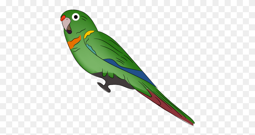 444x385 Santa Marta Parakeet Lovebird, Parrot, Bird, Animal HD PNG Download