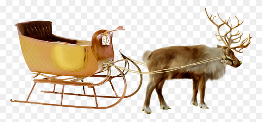 800x390 Santa Sleigh, Animal, Canine, Dog, Mammal Sticker PNG