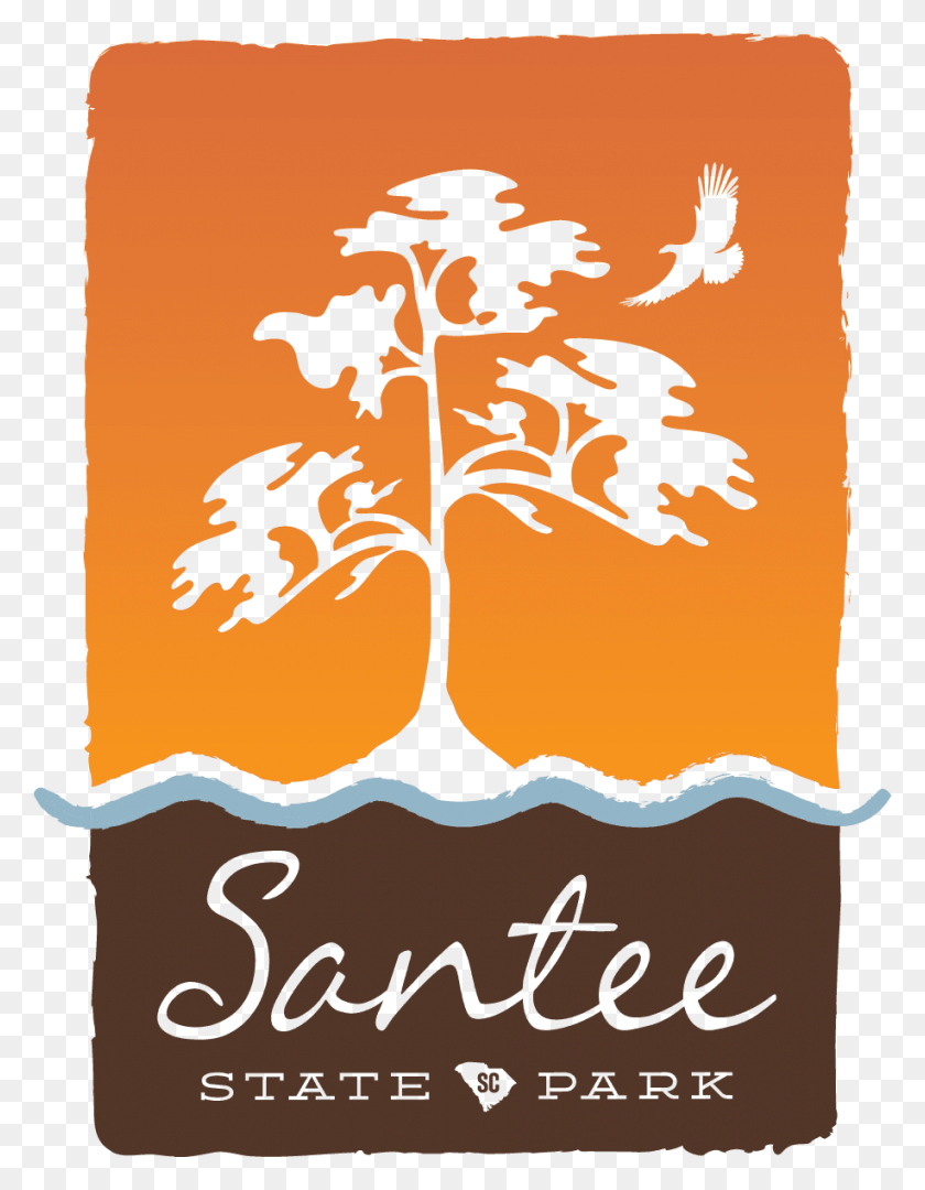 917x1200 Santee State Park Faqs Tree, Text, Poster, Advertisement HD PNG Download