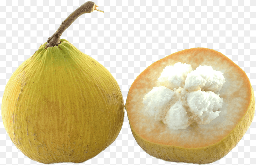 Santol Tree Santol Clipart, Food, Fruit, Plant, Produce Transparent PNG